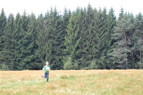 Obrázek v galerii
